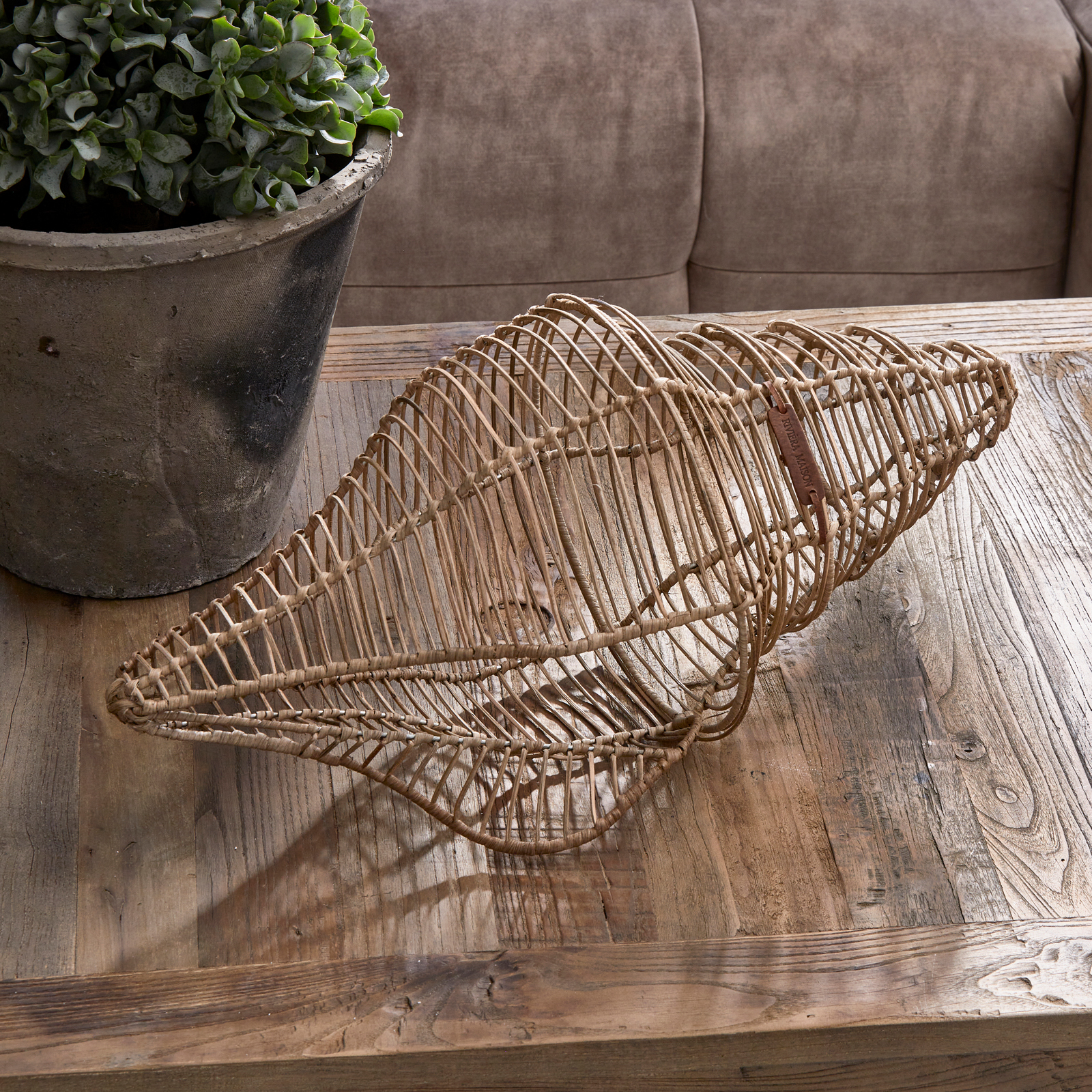 Rustic Rattan 3D Seashell Decoration