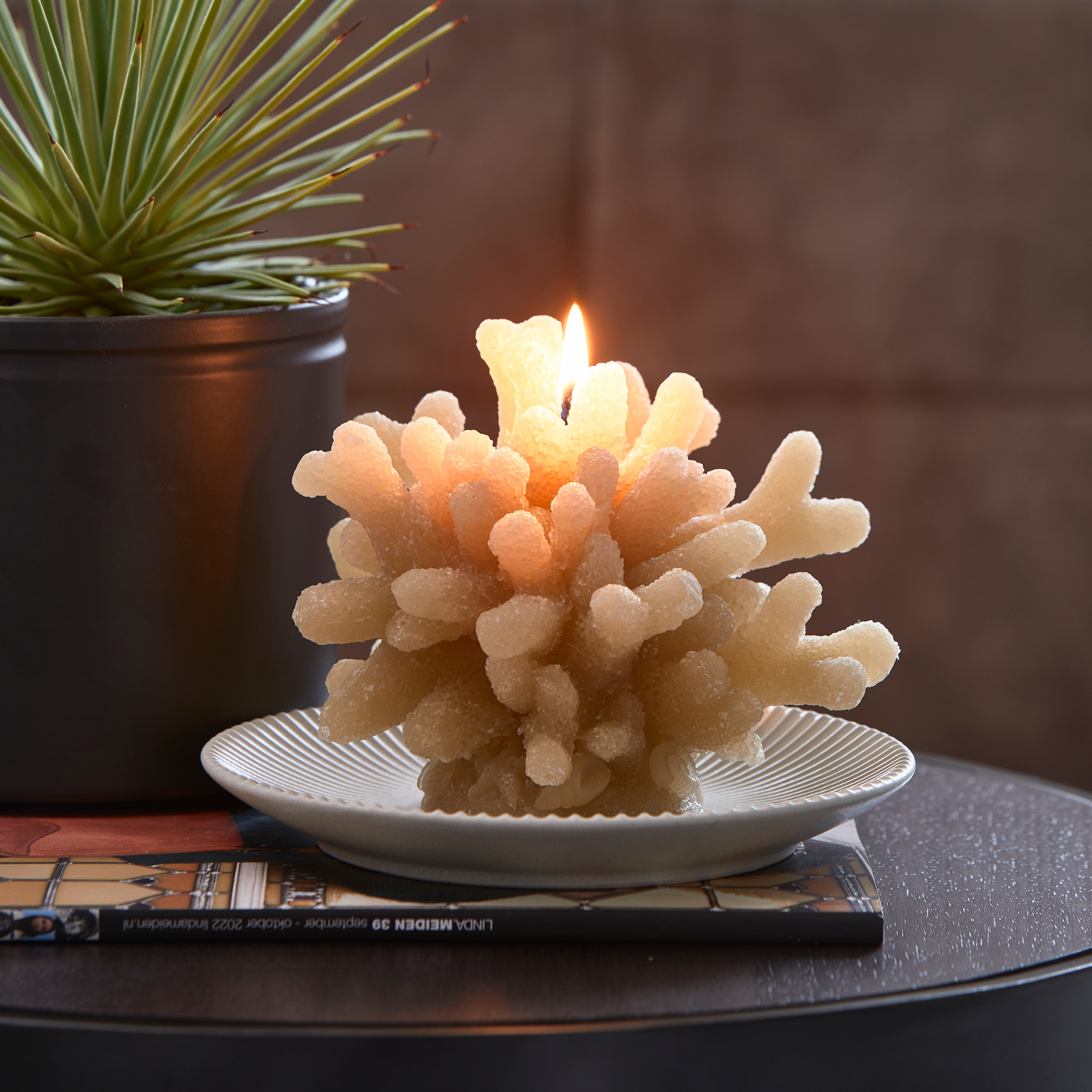 RM Coral Candle