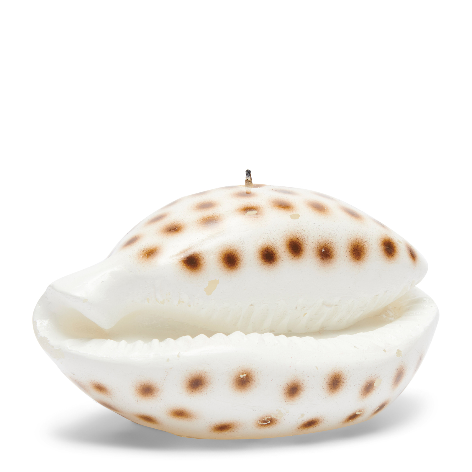RM Shell Candle
