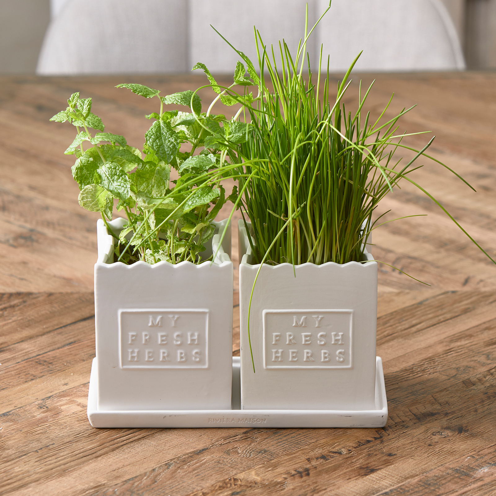 My Fresh Herbs Kitchen Set