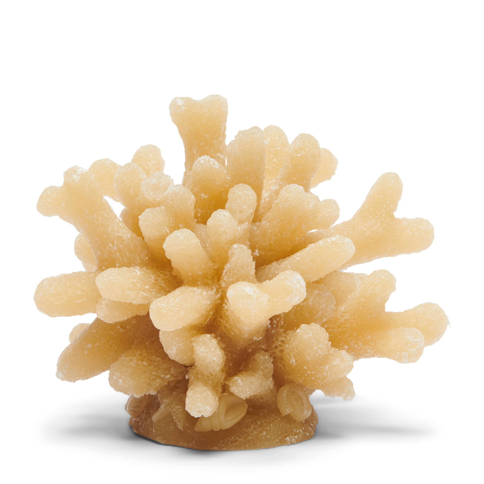 RM Coral Candle