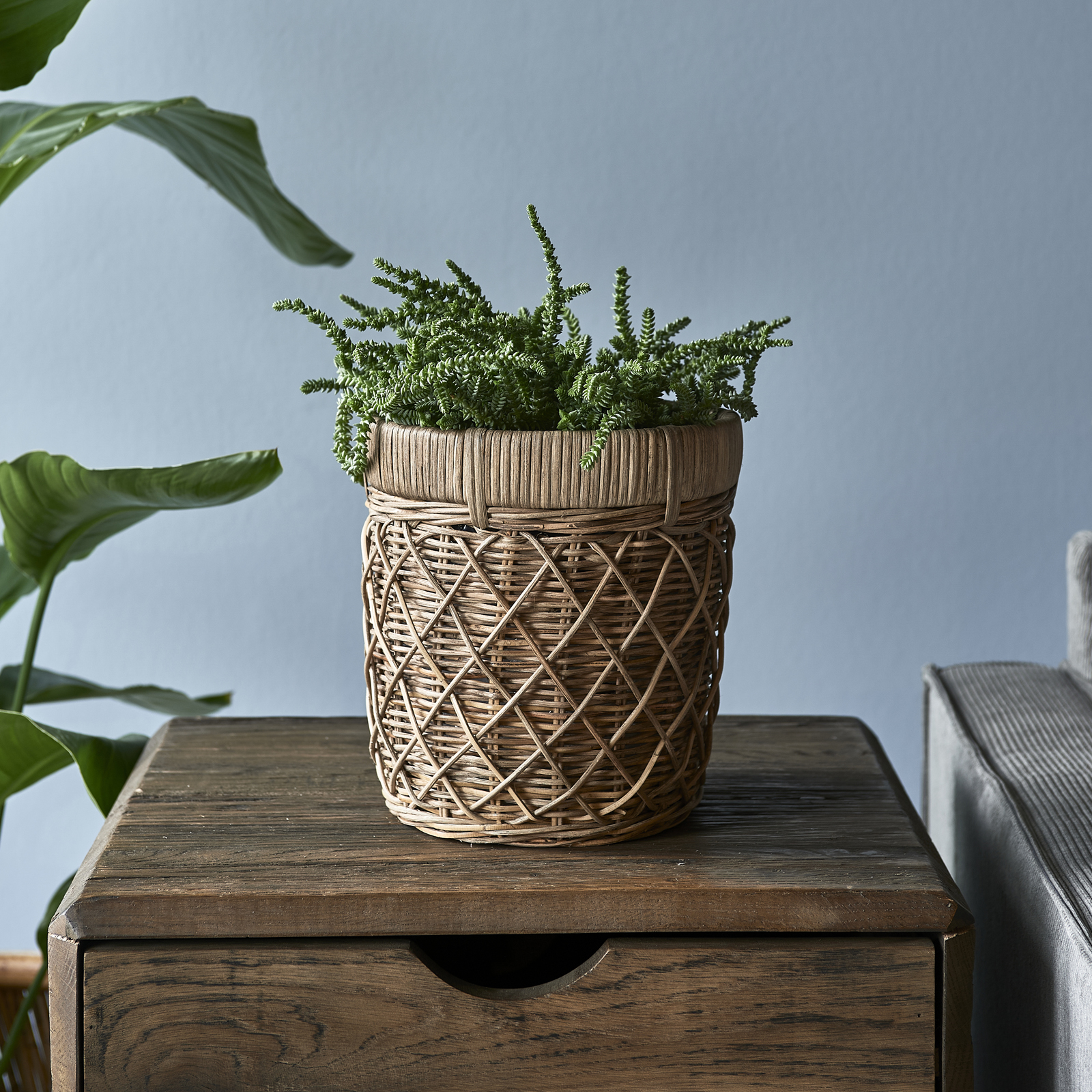 Rustic Rattan Diamond Weave Flower Pot S