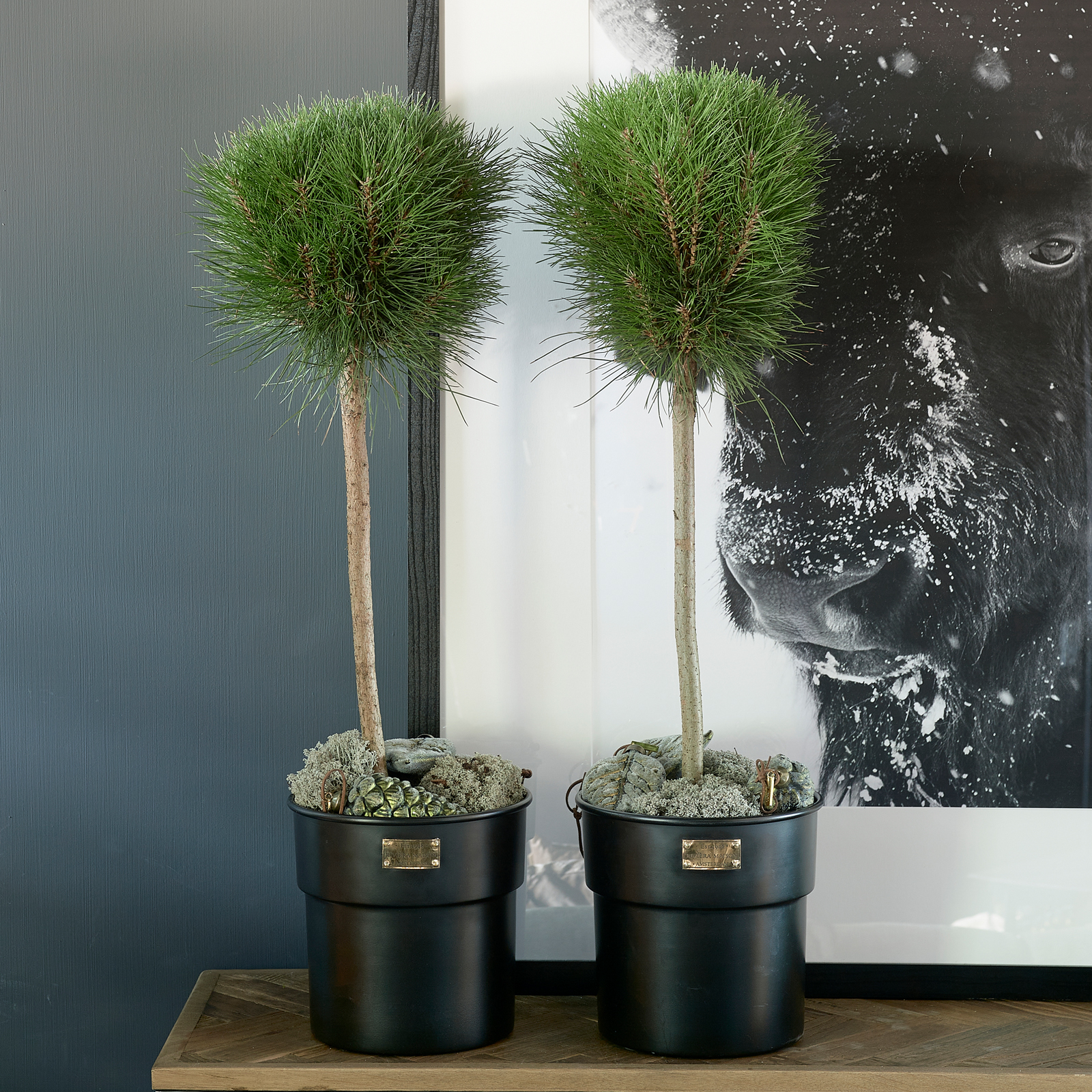 City Loft Flower Pot black S