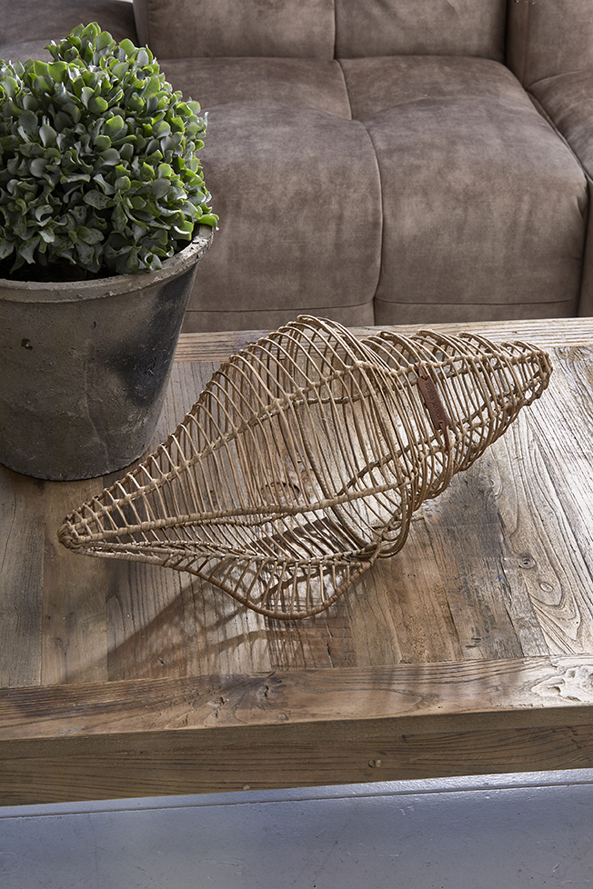 Rustic Rattan 3D Seashell Decoration