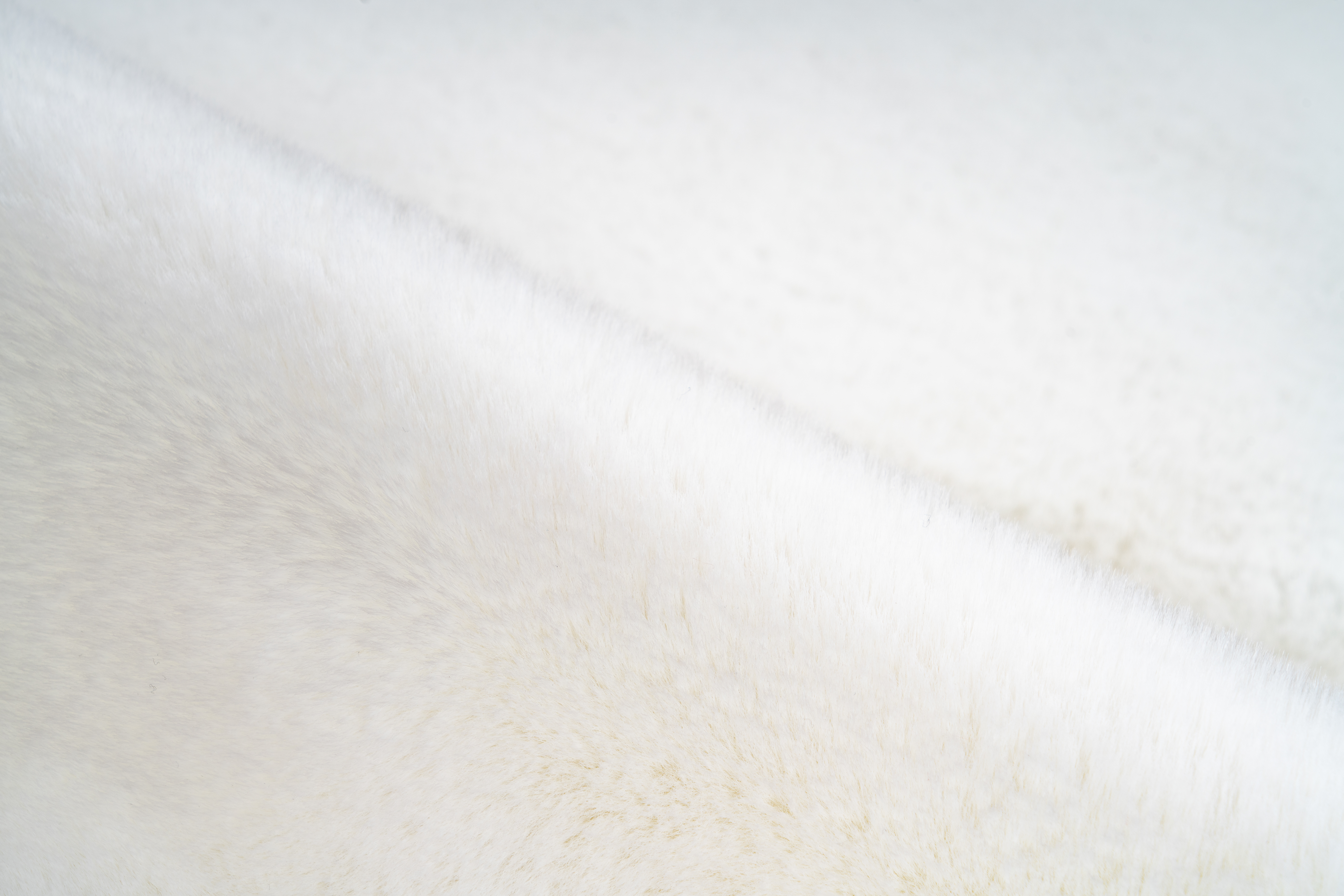 Rabbit Double Sheepskin 300 Weiß Rabbit Double Sheepskin 300 Weiß