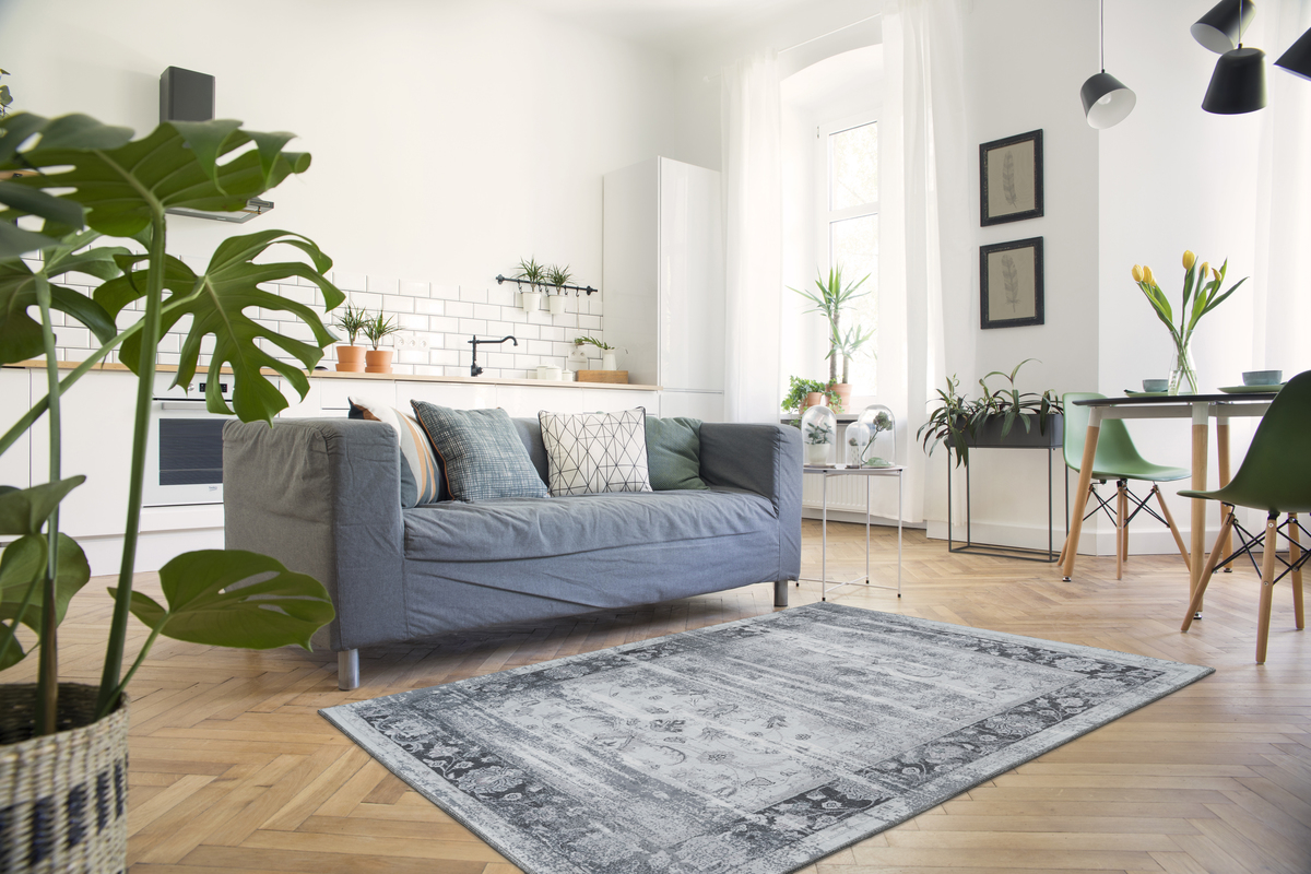 Galaxy 1200 Grau / Blau Galaxy 1200 Grau / Blau