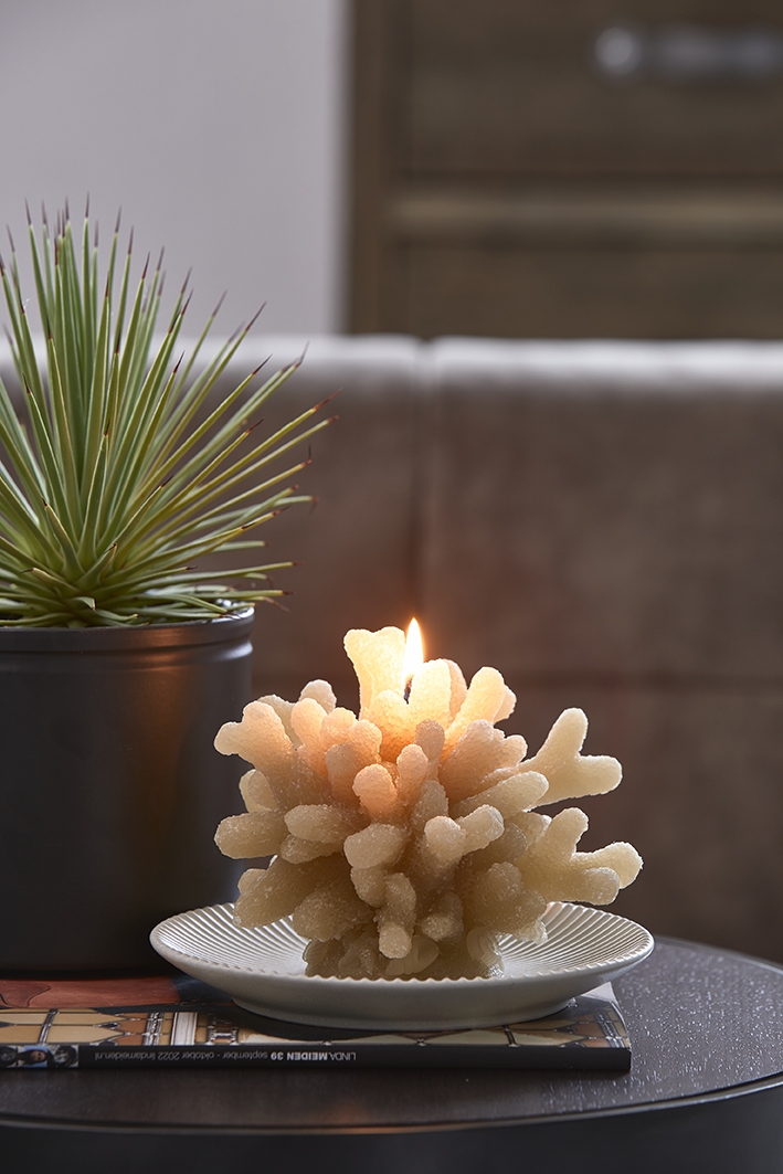 RM Coral Candle